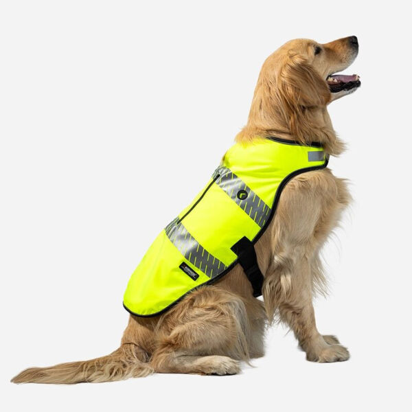 Hi-Vis All-in-One Dog Safety Vest Thumbnail